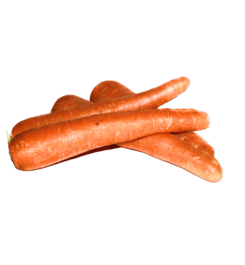 Farm Carrot