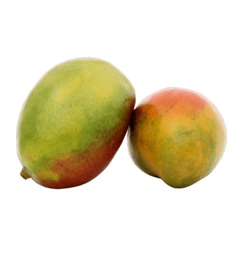 Fresh Mango