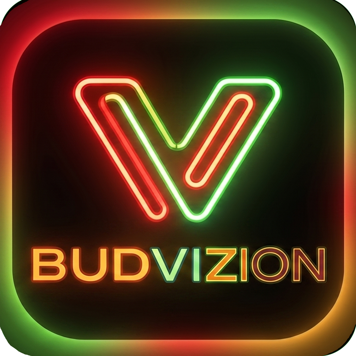 BudVizion Store